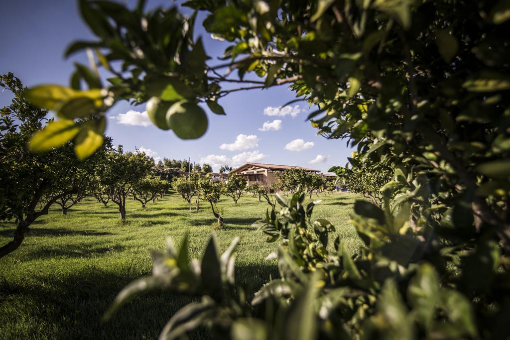 Agriturismo Il Giriatello Crotone Ngoại thất bức ảnh
