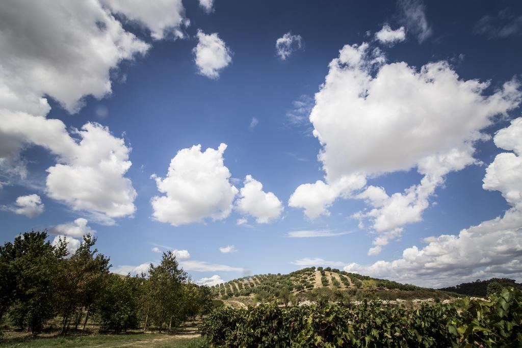 Agriturismo Il Giriatello Crotone Ngoại thất bức ảnh