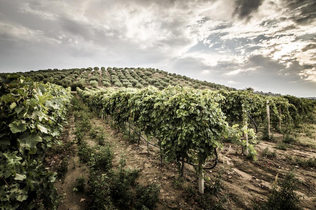 Agriturismo Il Giriatello Crotone Ngoại thất bức ảnh