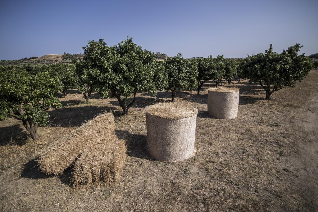 Agriturismo Il Giriatello Crotone Ngoại thất bức ảnh