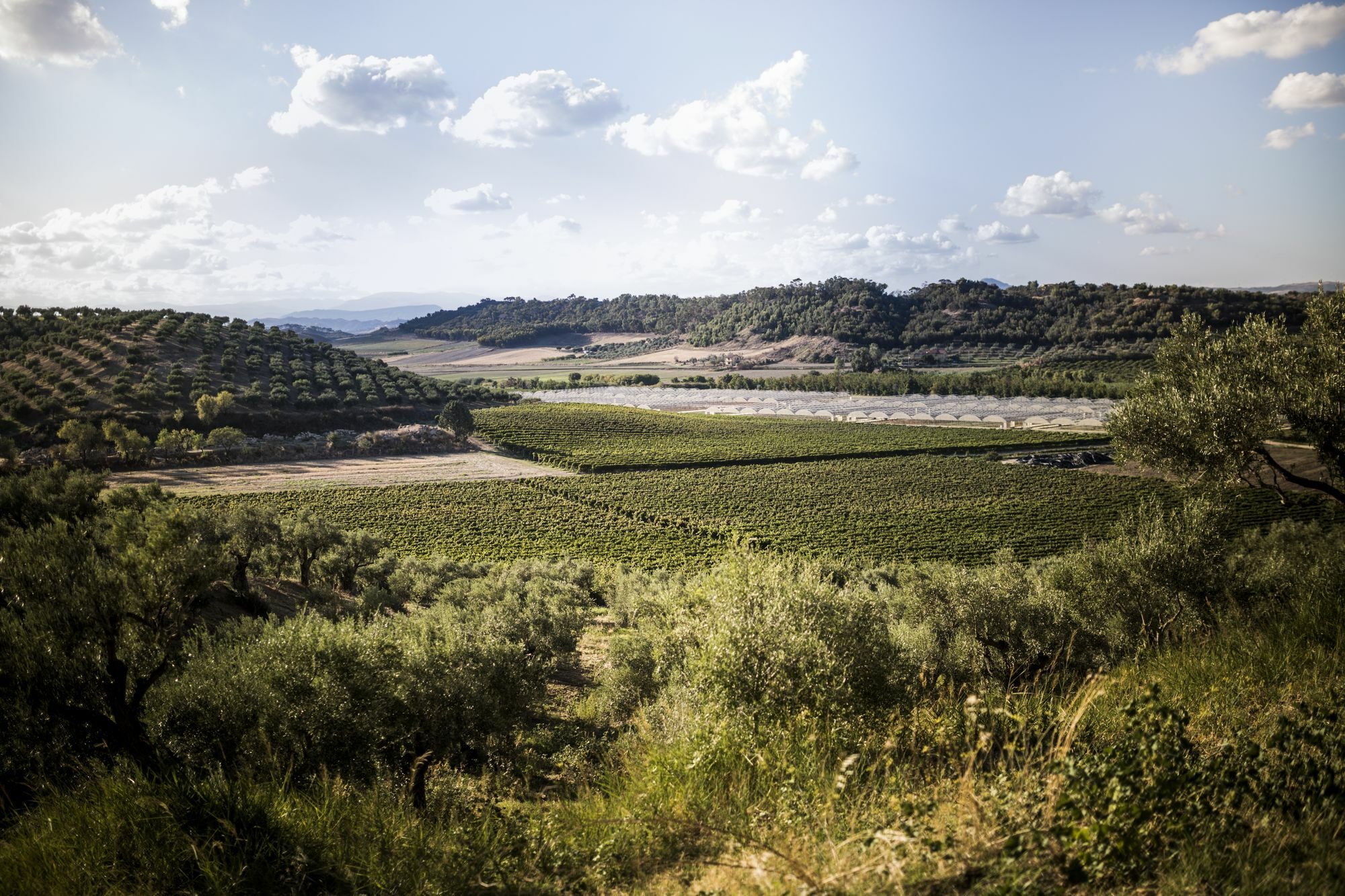 Agriturismo Il Giriatello Crotone Ngoại thất bức ảnh